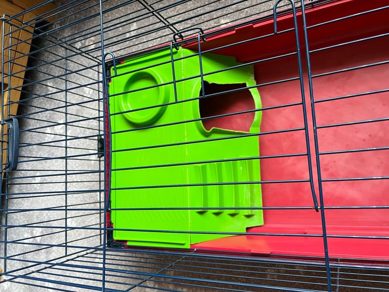 Guinea pig cage