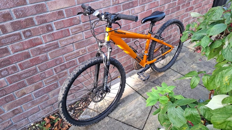 image for kids mountain bike 24 inch wheels