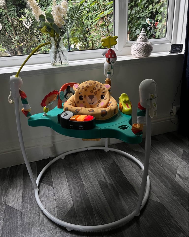 Fisher price baby bouncer 