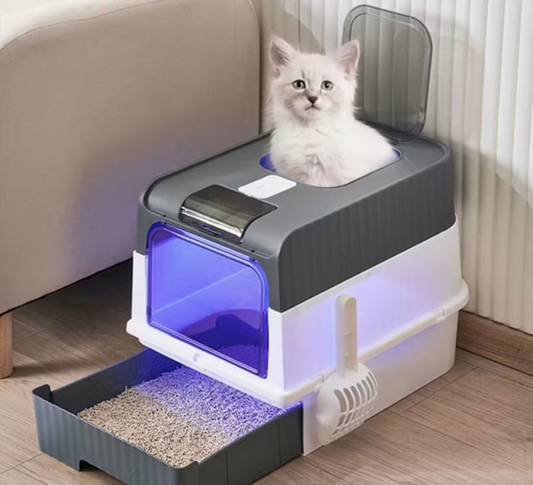 Everything you need for a cat… all brand new