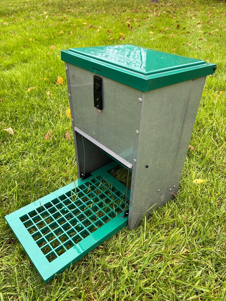 Chicken Feeder 