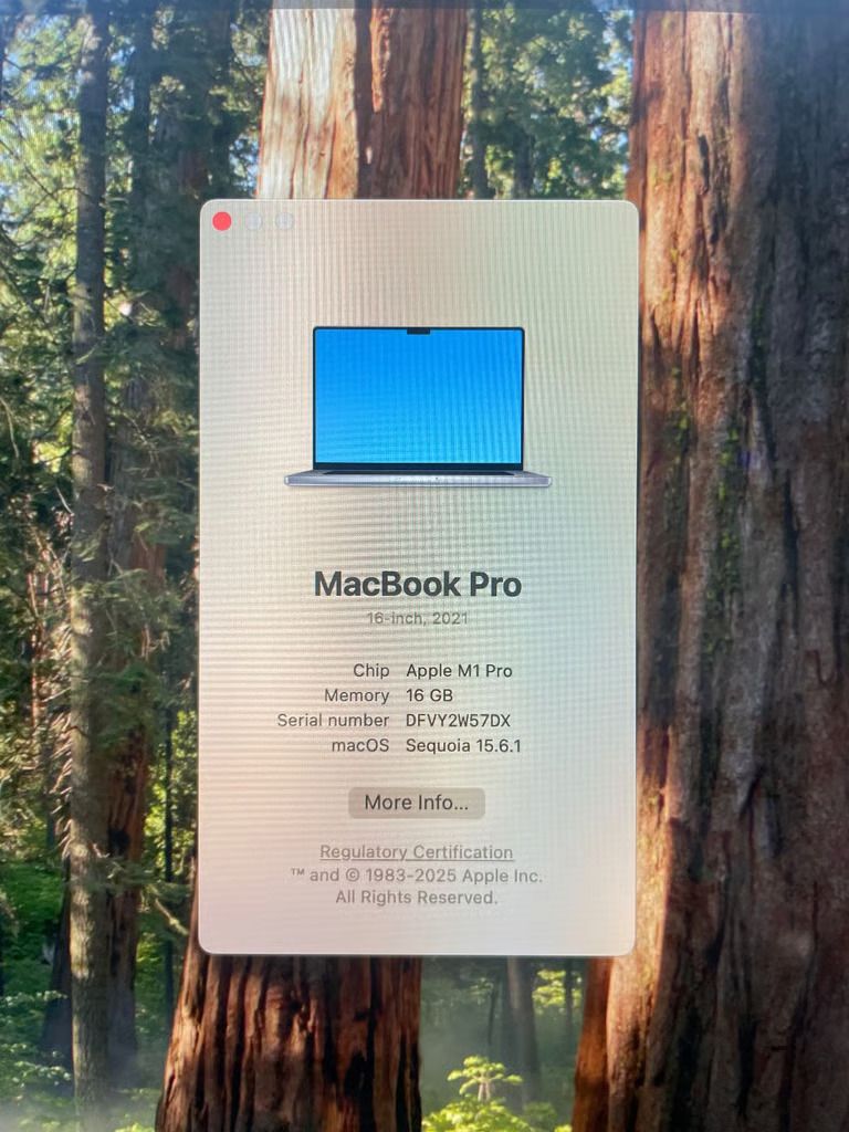 Apple MacBook Pro 16-inch 2021 M1 Pro 10 CPU/16 GPU 3.2GHz 16GB RAM 1TB SSD Liquid Retina XDR