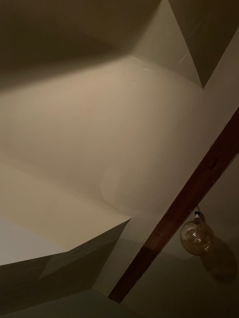 image for Free night