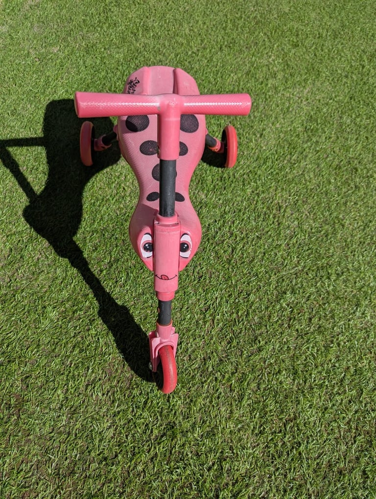 image for Red scutllebug 