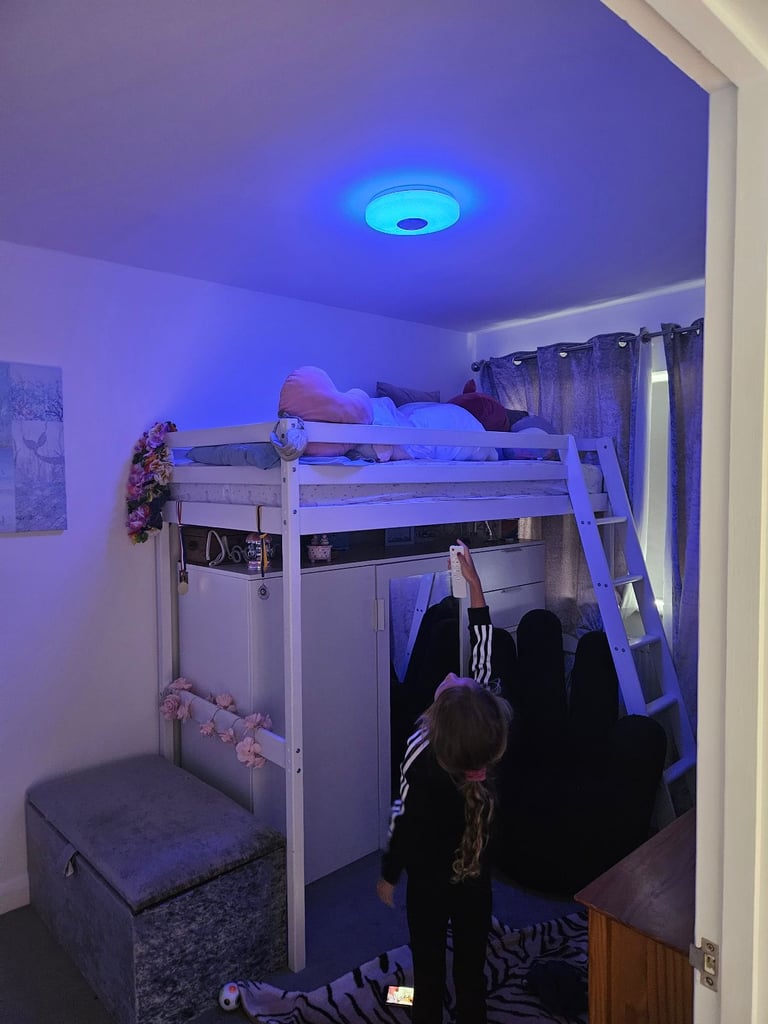 Single junior loft bed only
