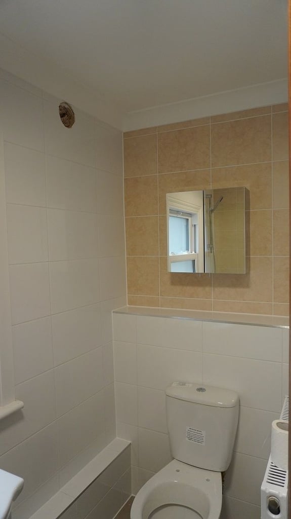 New completely refurbished one bed garden flat