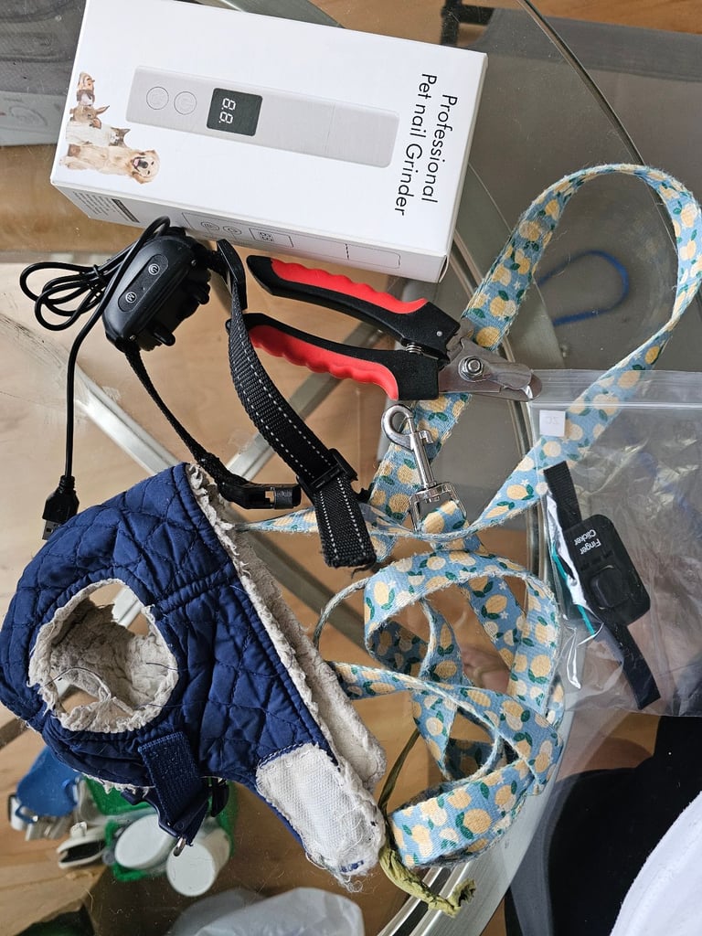 Assorted Dog Accessories