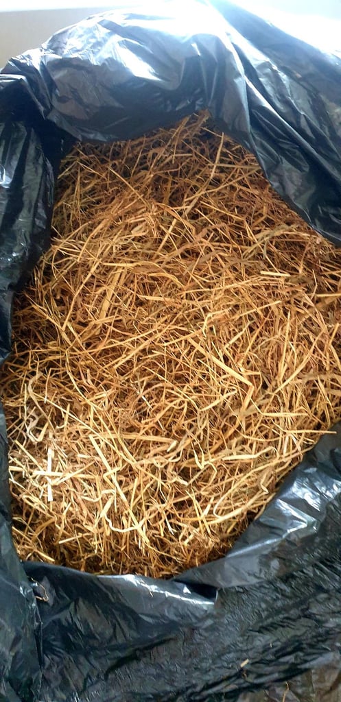 Full Set Up Cage for Guinea Pig 