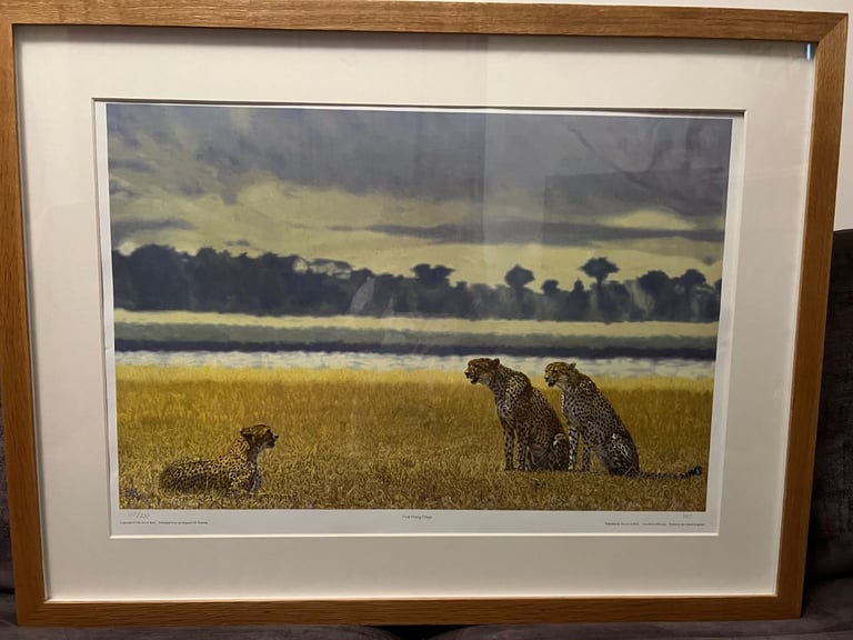 Large limited edition signed framed wildlife print picture