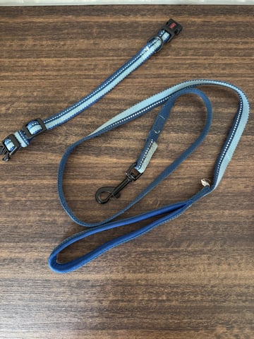 Halti Dog Collar and Lead in Maida Vale, London Gumtree