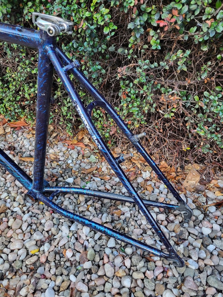 Diamond Back Ascent retro 1990s mountain bike frame and forks.