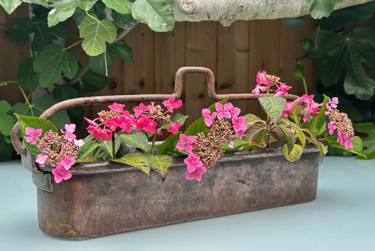 ANTIQUE FRENCH COPPER FISH KETTLE, PAN, JARDINIERE, PLANTER, 58cm long 4kg - 1900s - WILL POST!