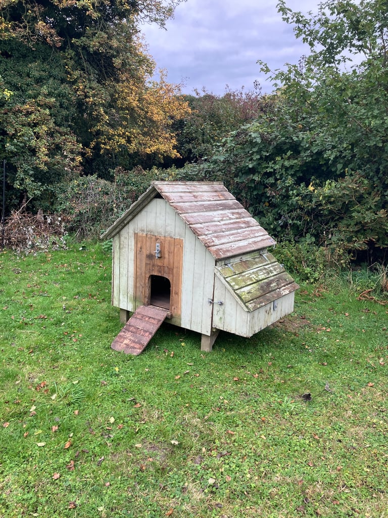 Chicken house (Flytes of Fancy ‘Maggie’