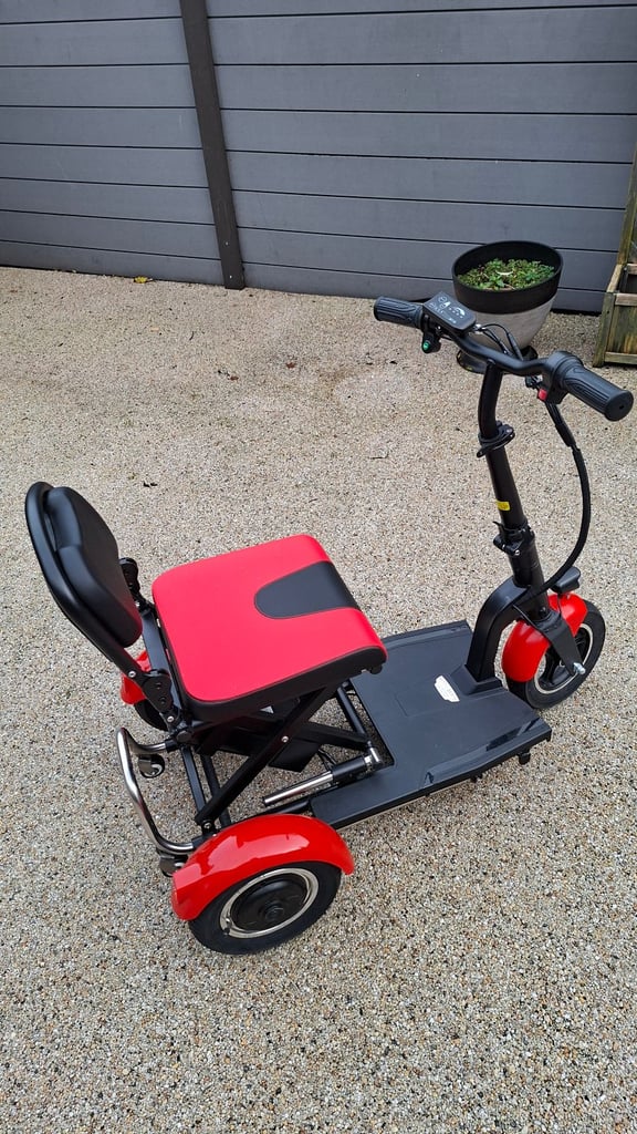 Betty & Bertie "Lupin Mobility Scooter"