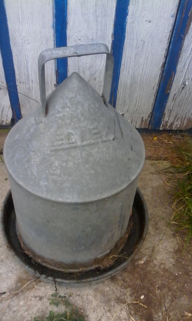 Galvanised Eltex drinker for poultry
