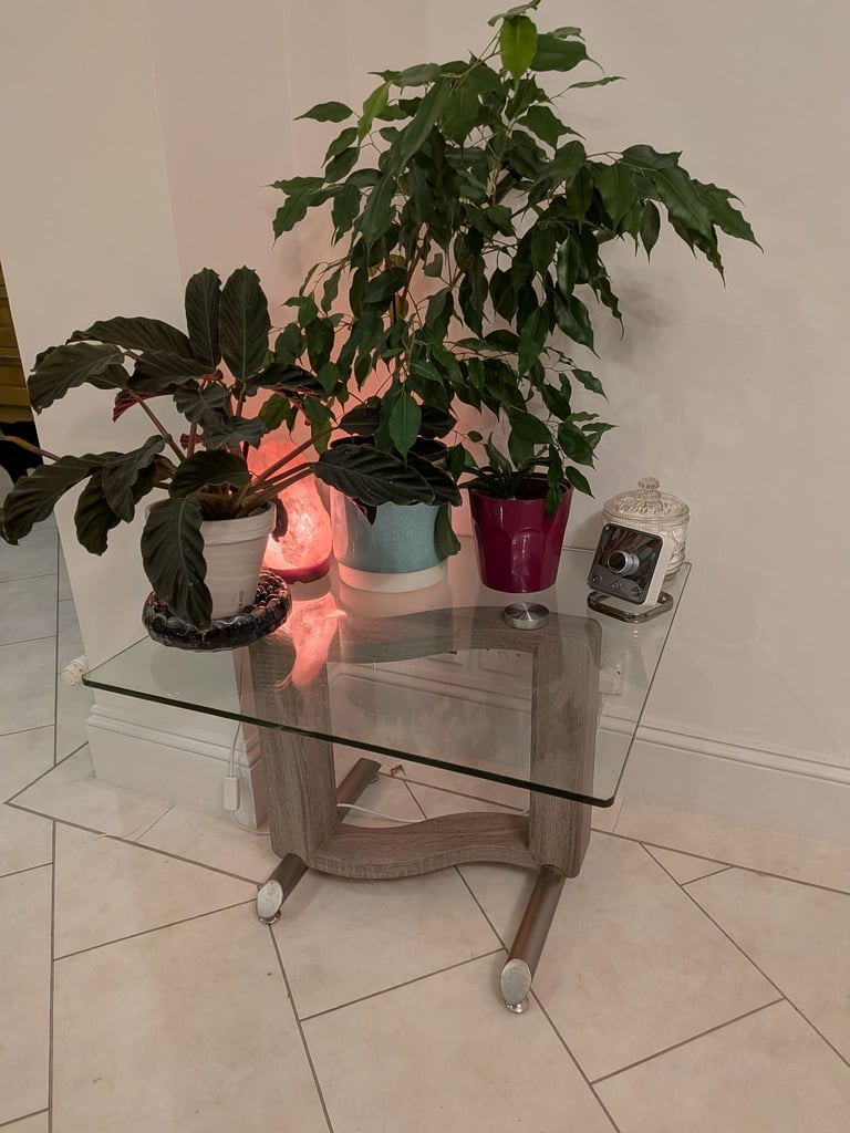 image for Glass top lamp/coffee table ex DFS