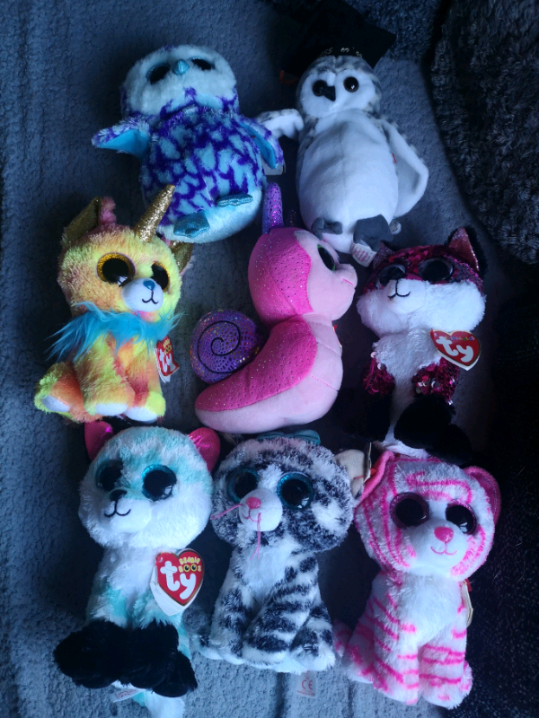 TY Beanie Boos Collection | in Shepshed, Leicestershire | Gumtree