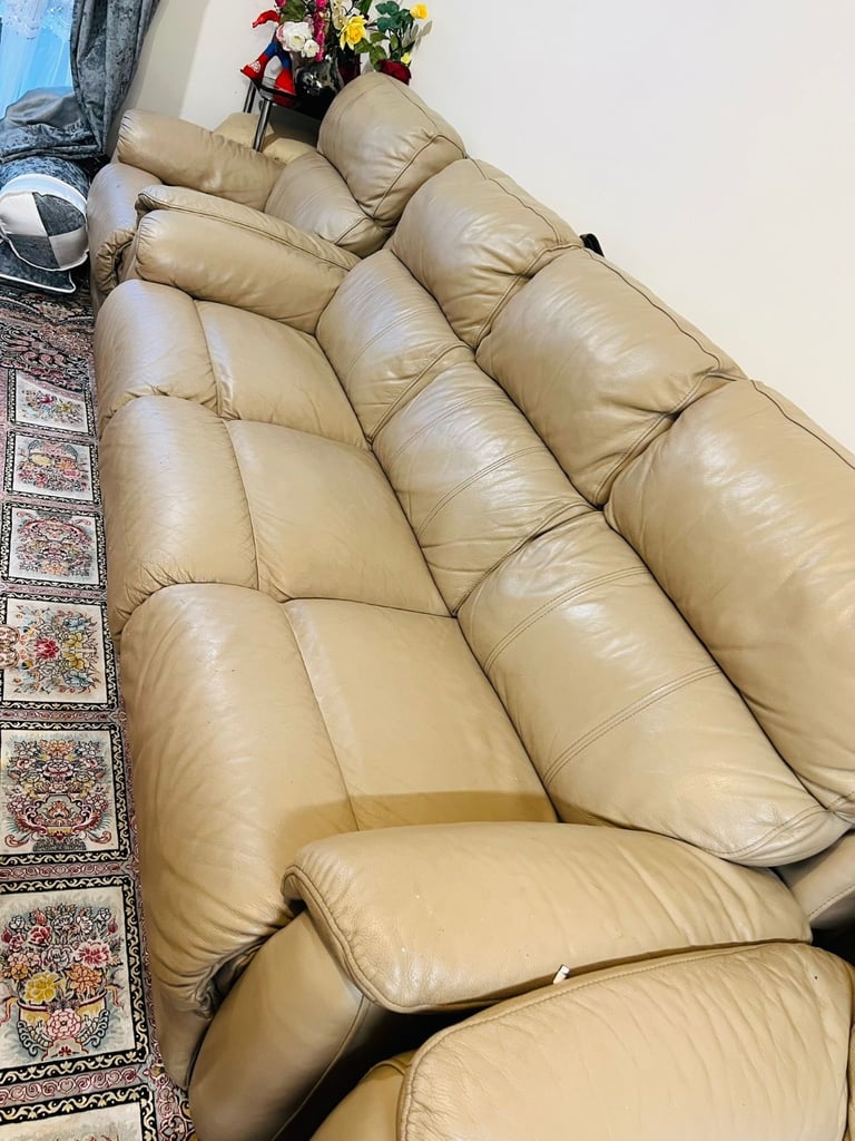 Electric leather sofas