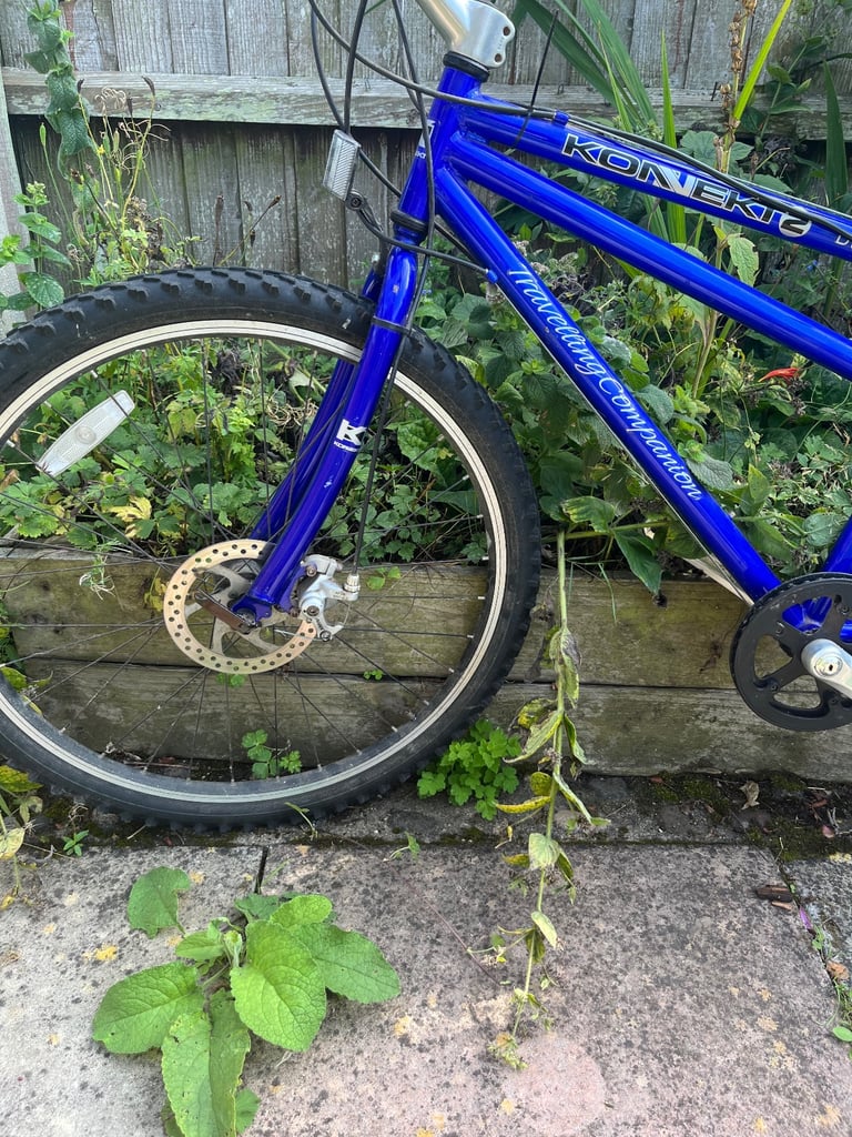 image for Electric tandem
