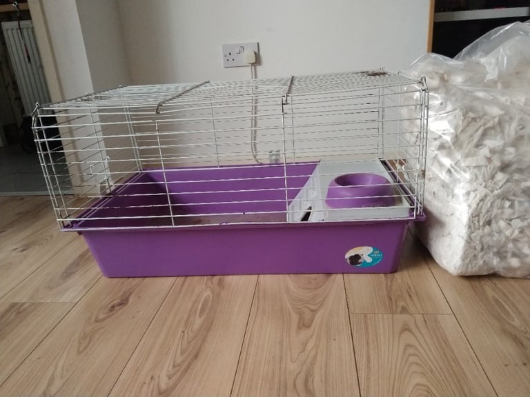Guinea pig cage with beding 