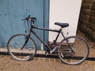 Used Mens Mountain Bike