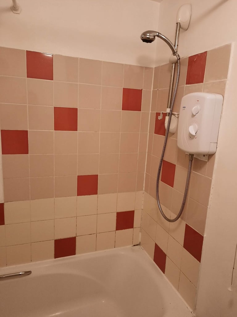 1 bedroom flat to rent - Available in October