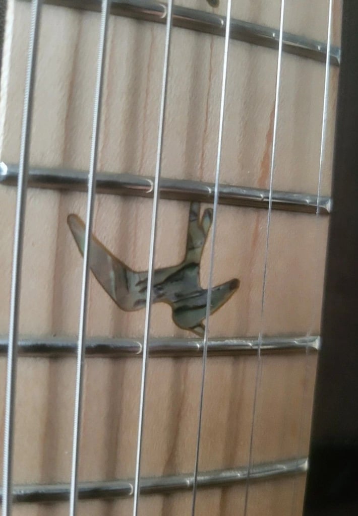 image for PRS Swamp Ash Special 