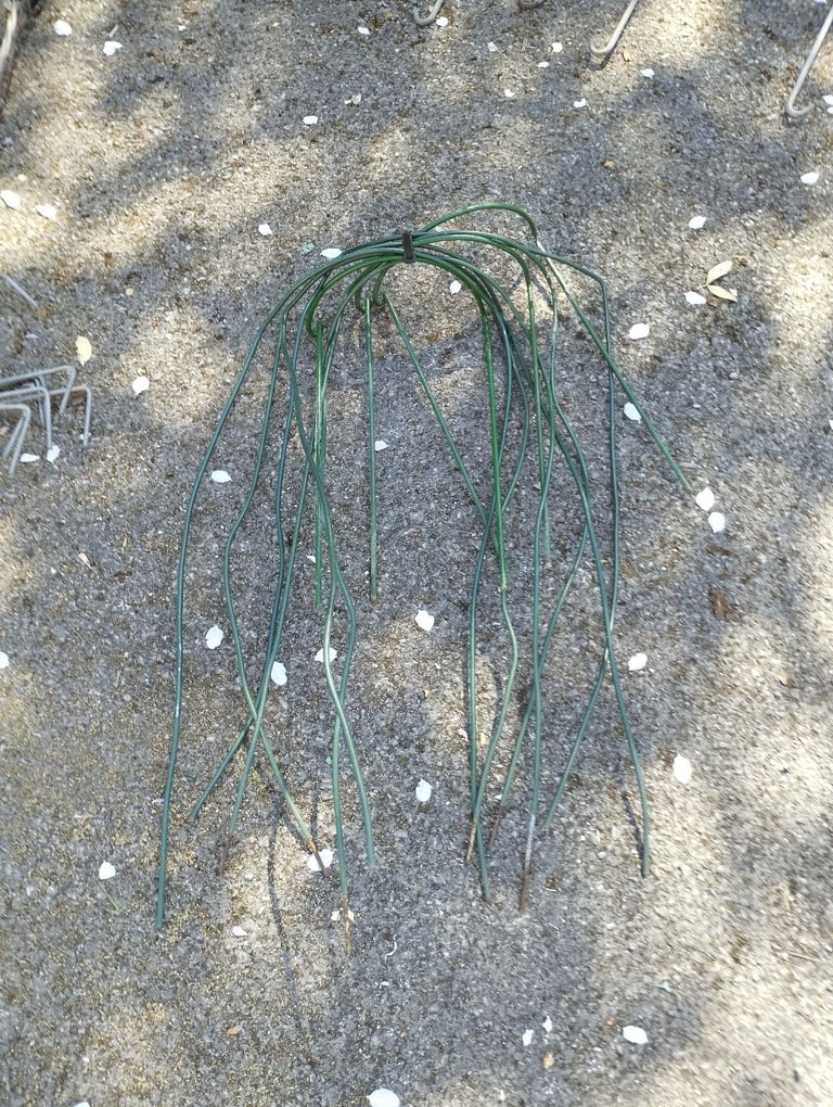 Link stakes plant supports