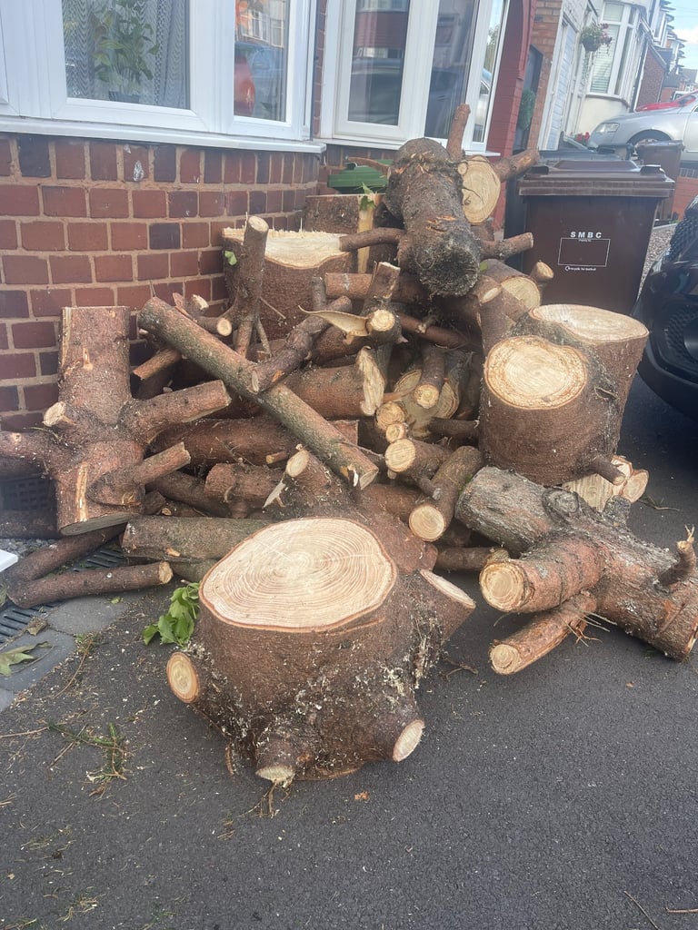 Tree cutting,fence,grass,hedge,chimney,salb