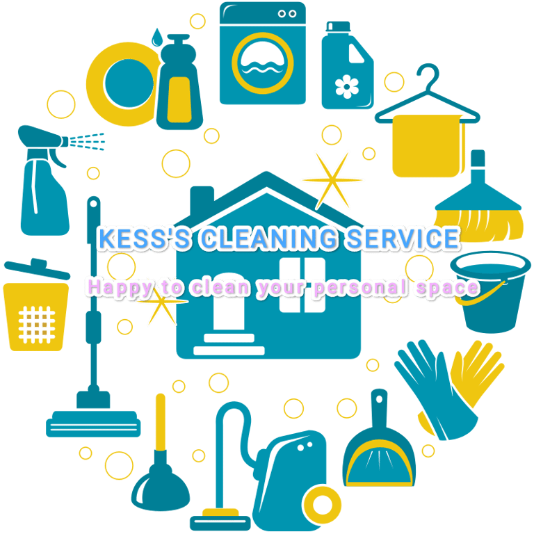 Domestic Cleaner service