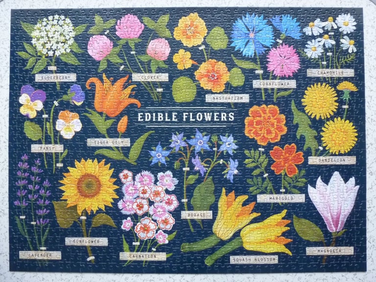 1,000 PIECE JIGSAW PUZZLES