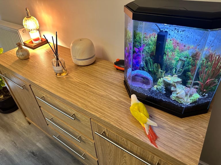 25l fish tank & accessories