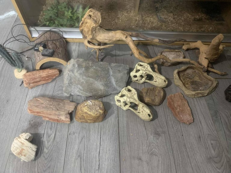 Reptile tank