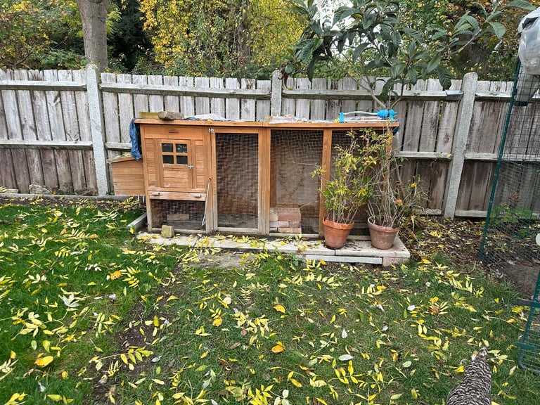 Free chicken coop fits 4-6 birds 