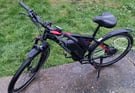 Electric  bikes 250 Wats 