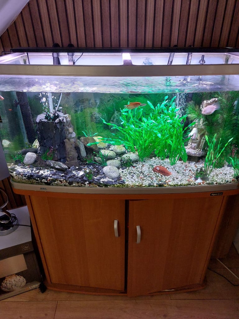 AQUA 1 FISH TANK