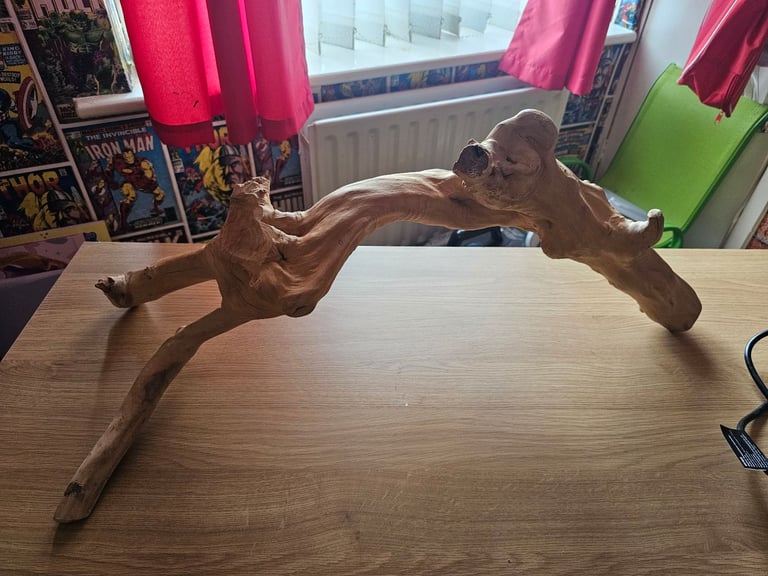 Large wood Vivarium accessory 