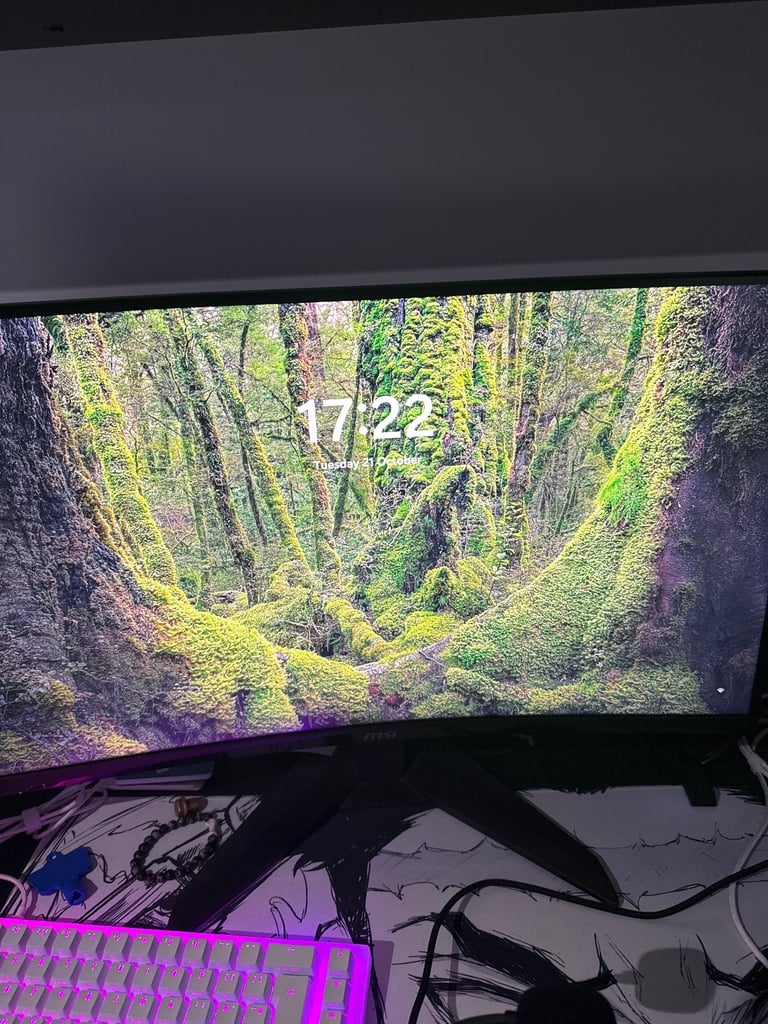 Msi 240hz gaming monitor