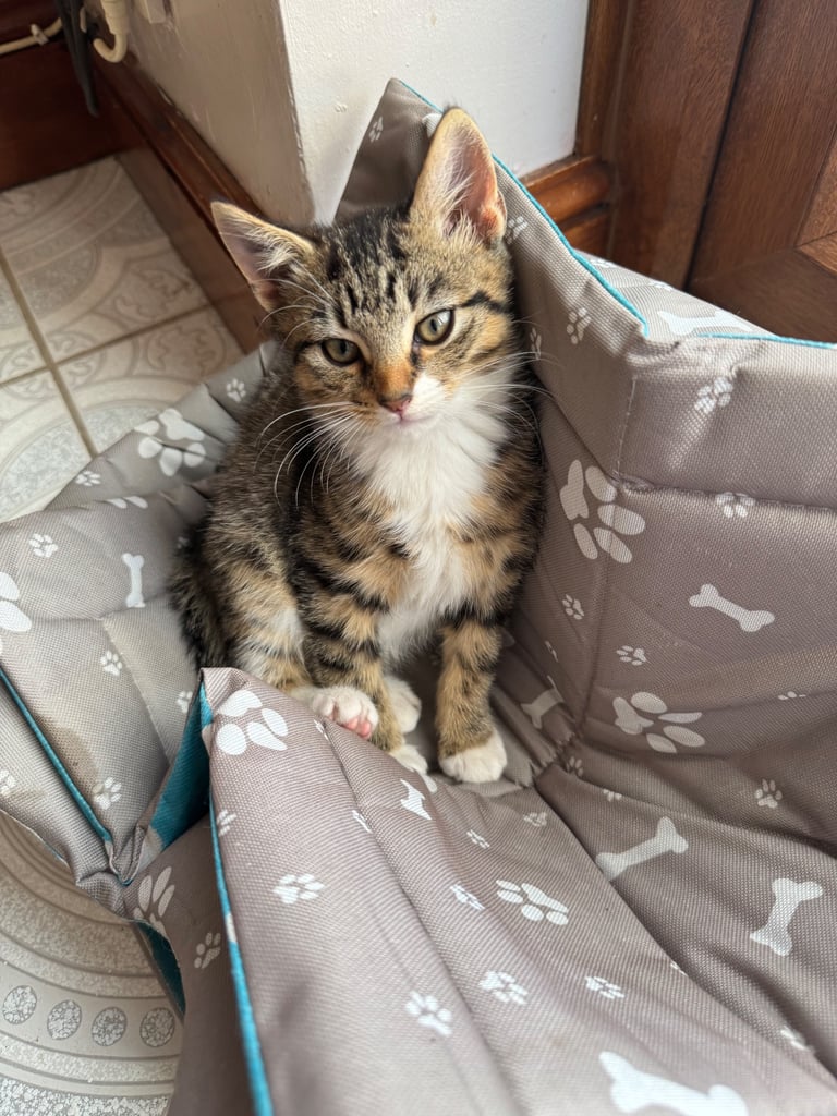 SERIOUS INQUIRIES ONLY 