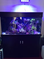  Aqua one Black 400 marine tropical fish tank aquarium with setup