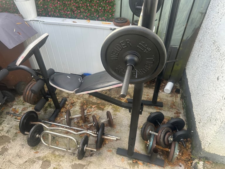 Cast iron free weight home gym 