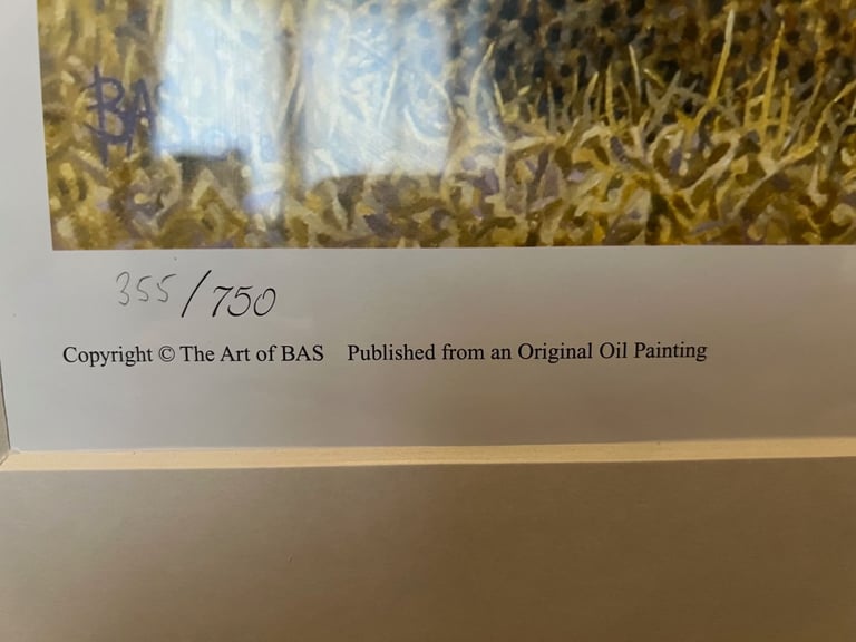 Large limited edition signed framed wildlife print picture