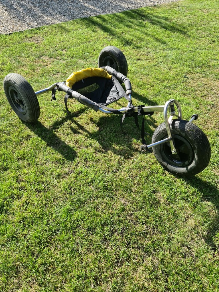image for Kite buggy