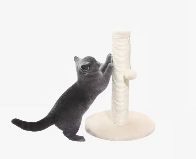 Everything you need for a cat… all brand new