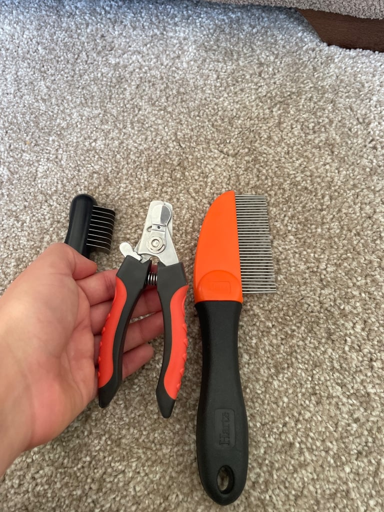 Dog Grooming 