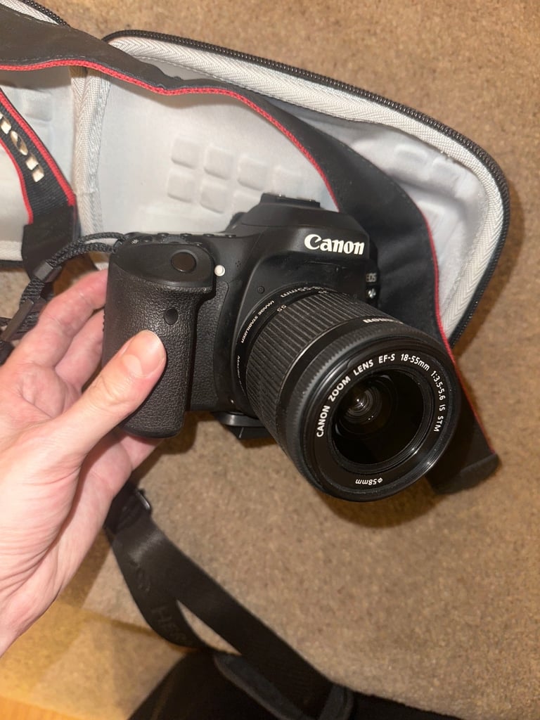 Cannon 80D DSLR (bargain)