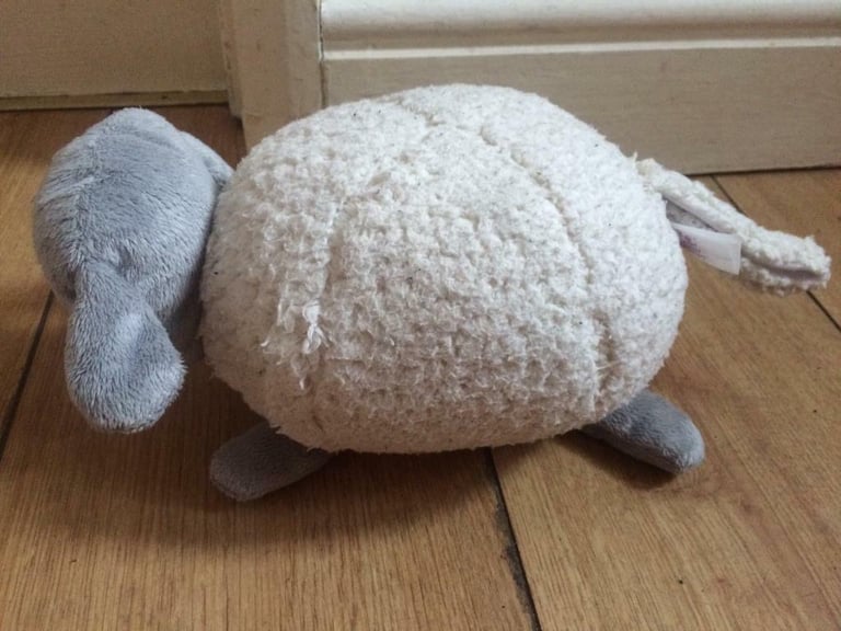 Ewan the Dream sheep 