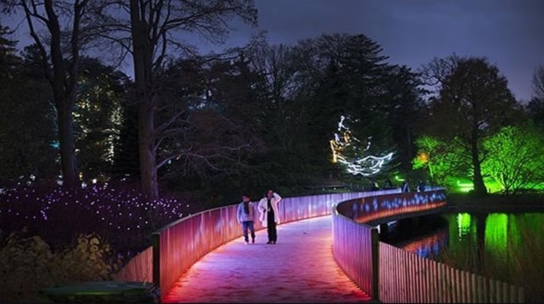 Christmas at Kew tickets