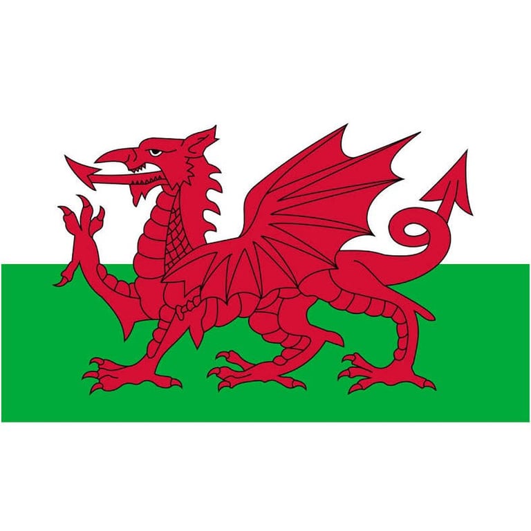 Online Welsh Tutoring Lessons for Beginner Speakers