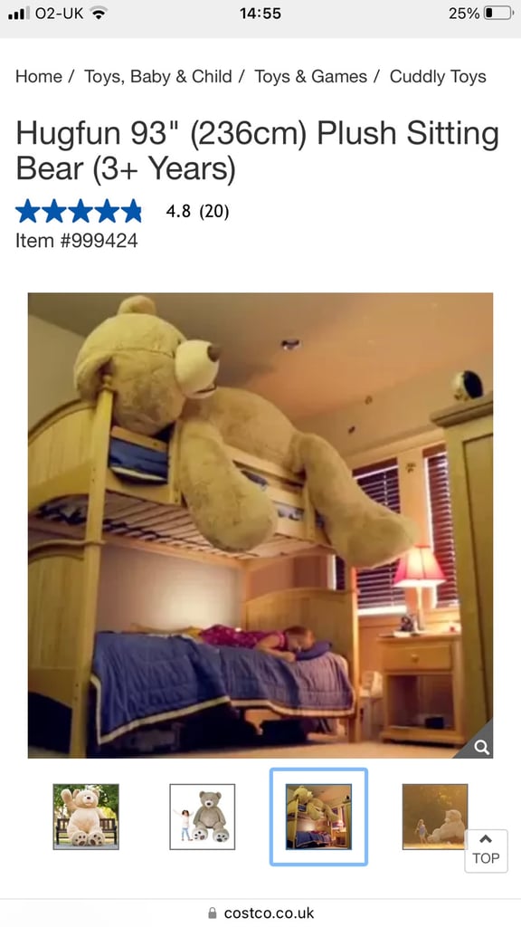 8ft Teddy Bear